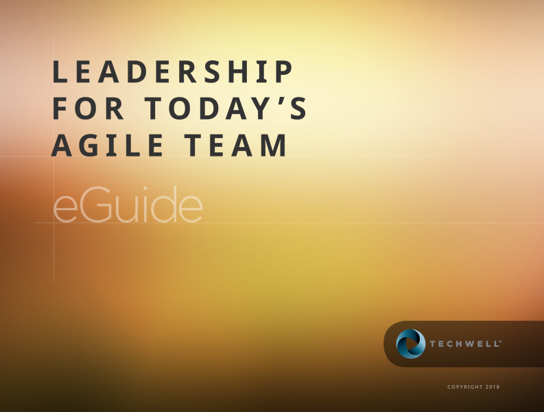 leadership in agile leadership in agile