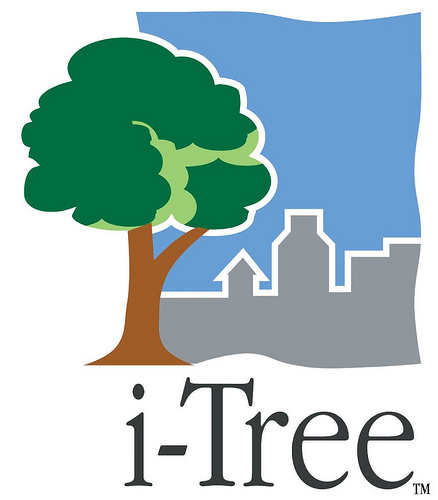 i-tree logo