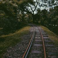 Train track going through the woods