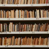 Shelves storing many books and files