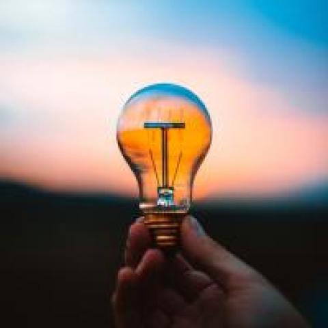 Hand holding a light bulb