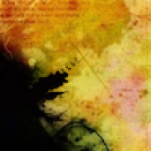 Profile picture for user Josh Stella