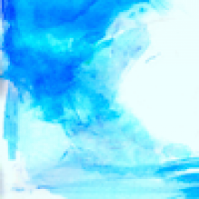 Profile picture for user ravien