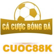 Profile picture for user cacuocbongdainfo