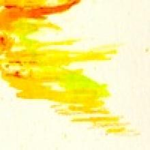 Profile picture for user bali2709@