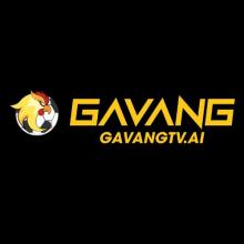 Profile picture for user gavangtvai