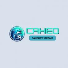 Profile picture for user caheotvstream1