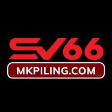Profile picture for user sv66center