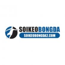 Profile picture for user soikeobongda2com