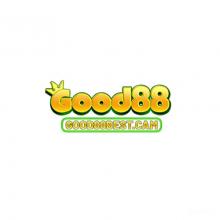 Profile picture for user good88bestcam