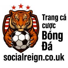 Profile picture for user cacuocsocialreign