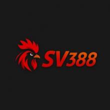 Profile picture for user sv388website