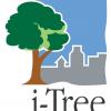 i-tree logo