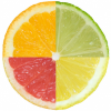 Four quadrants of citrus fruit