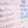 Software project estimation